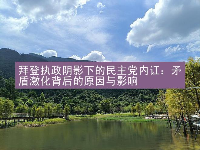 拜登执政阴影下的民主党内讧：矛盾激化背后的原因与影响